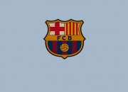 开云平台-托尼·高光时刻，比利时如何以战术智慧横扫美国队