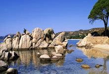 开云体育登录-活塞单节风暴锁定胜局，武切维奇内外兼修成胜负手