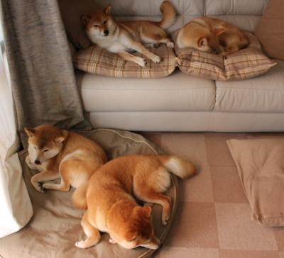 牙买加稳稳拿下巴黎奥运门票，门迪成为关键先生