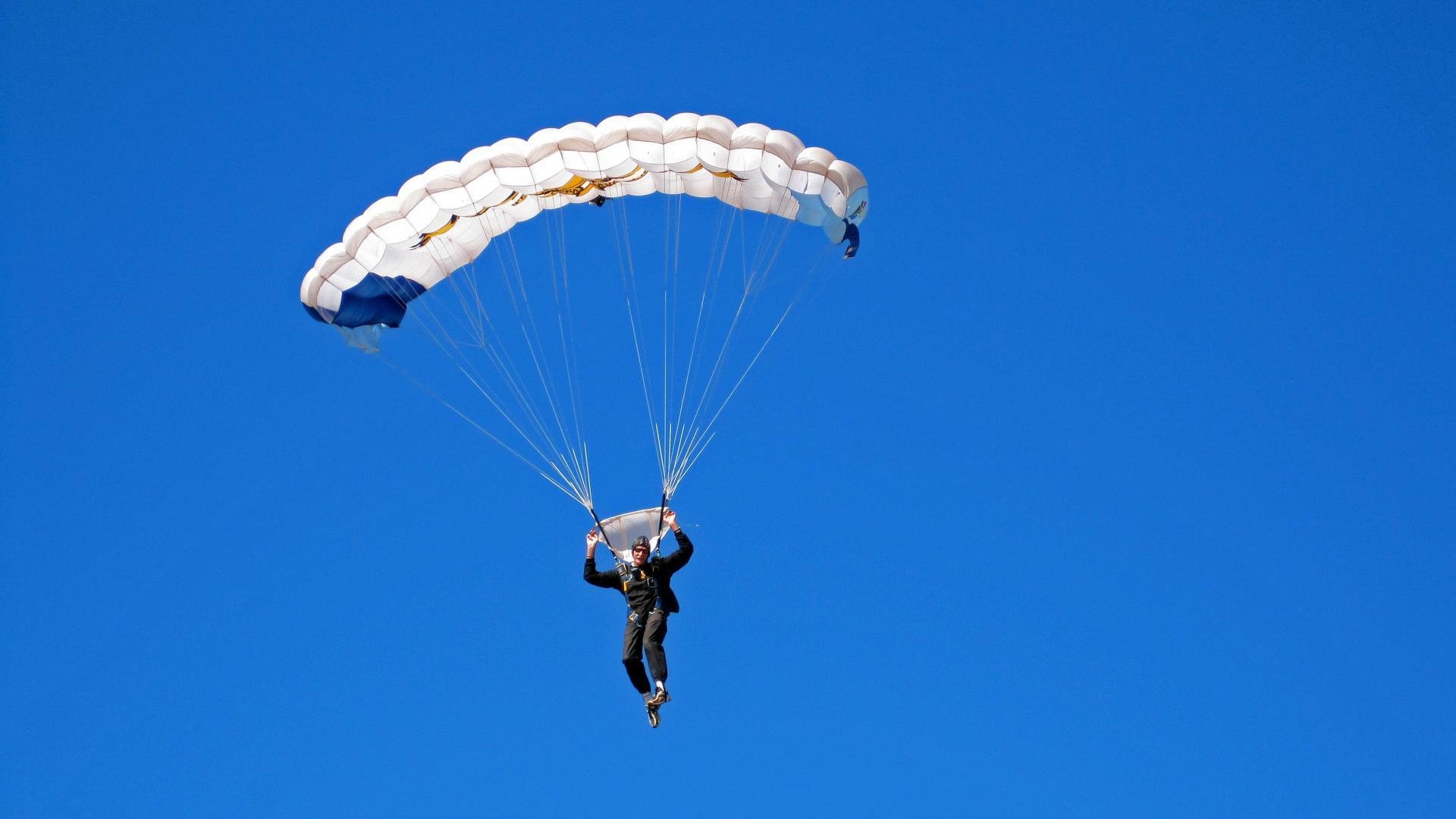 戈贝尔的统治力，当灰熊的利爪遇上森林狼的火焰